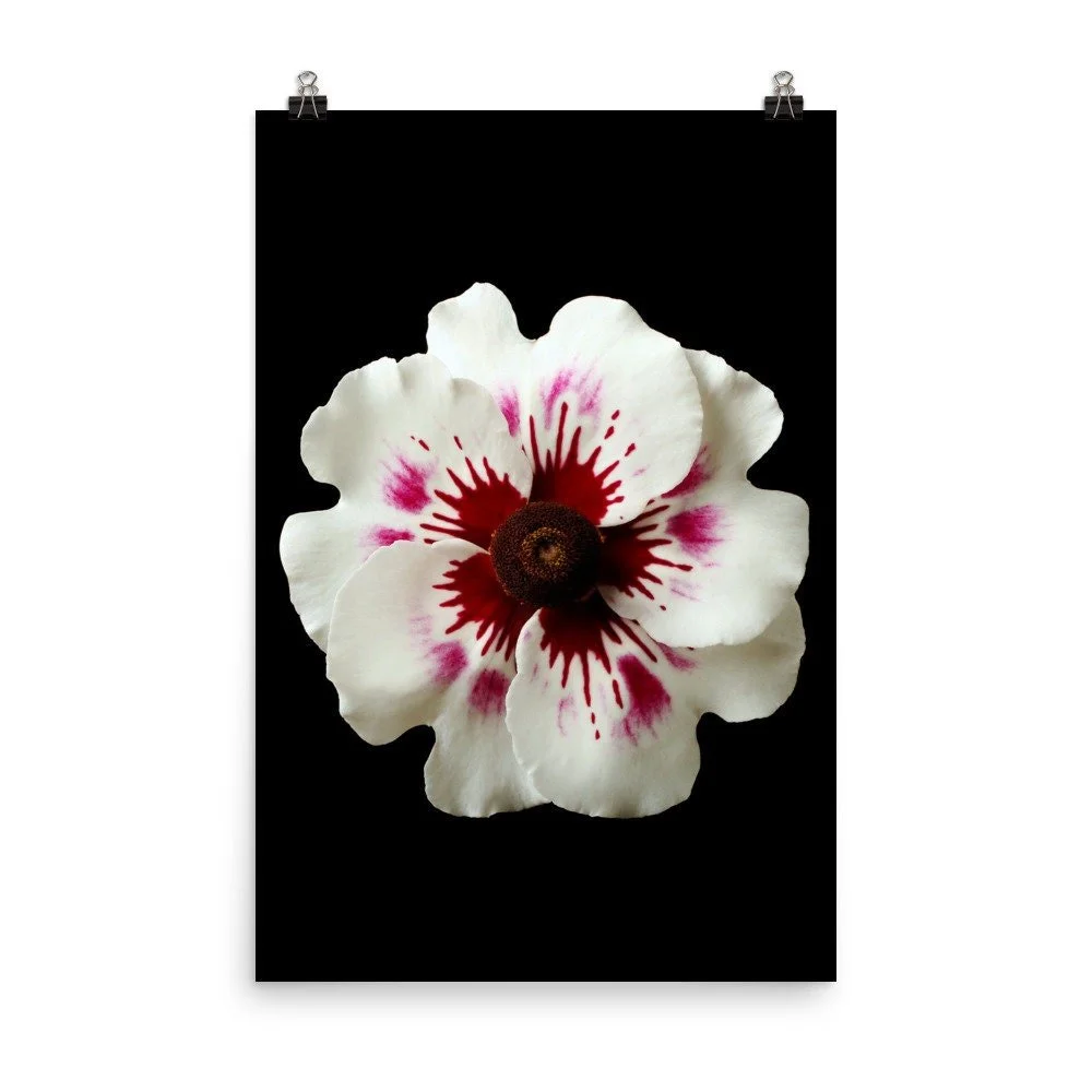 https://i.etsystatic.com/16519884/r/il/6ea0a3/2284779163/il_fullxfull.2284779163_jrez.jpg