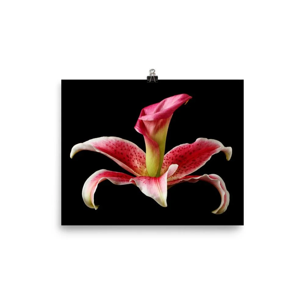 https://i.etsystatic.com/16519884/r/il/4b0999/2284581569/il_fullxfull.2284581569_4jyy.jpg