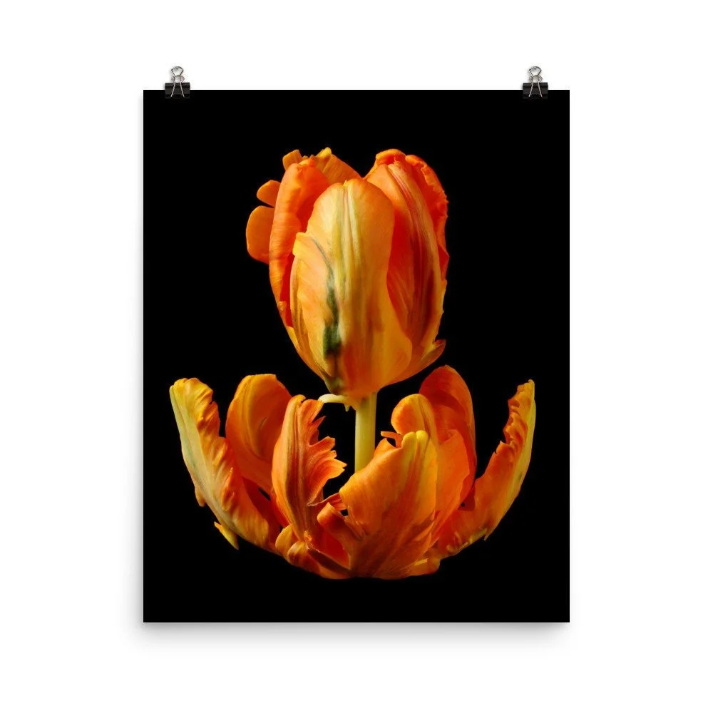 https://i.etsystatic.com/16519884/r/il/d8aa82/2284704283/il_fullxfull.2284704283_r6sx.jpg