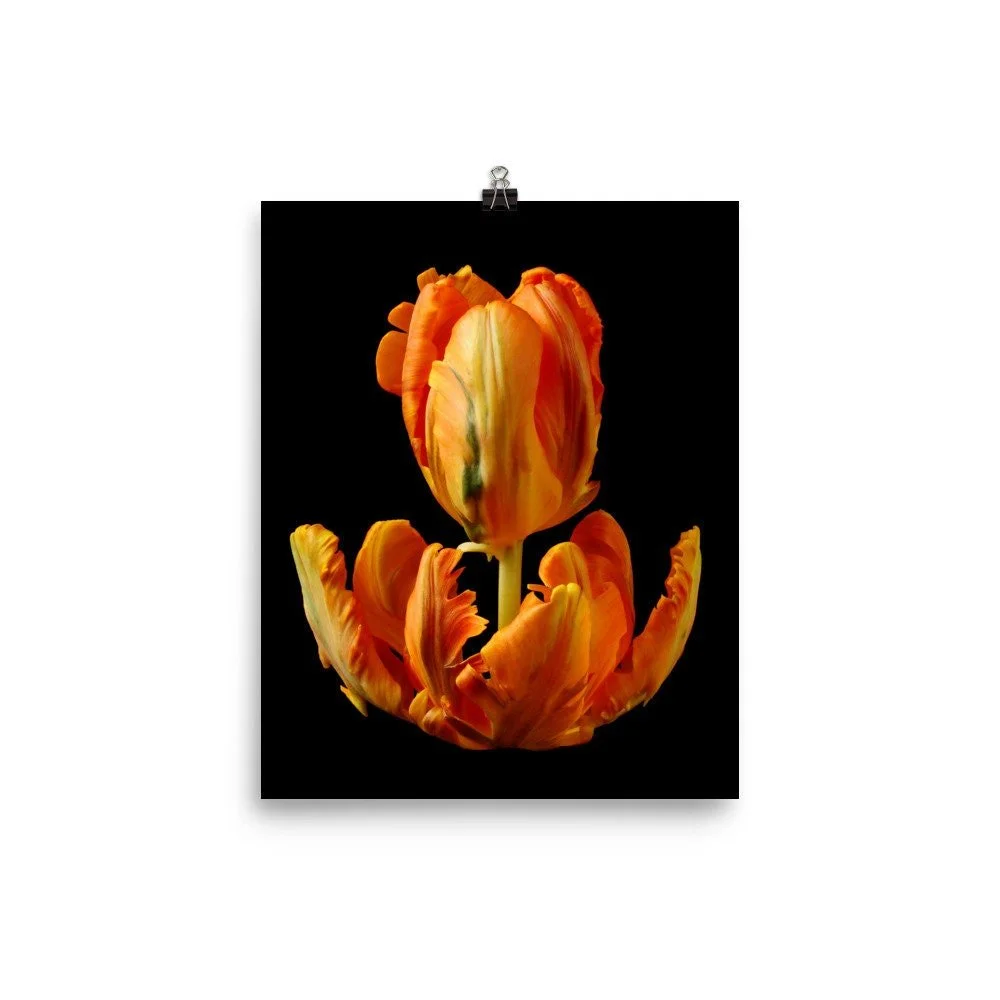 https://i.etsystatic.com/16519884/r/il/0a4d67/2237106582/il_fullxfull.2237106582_4p6k.jpg