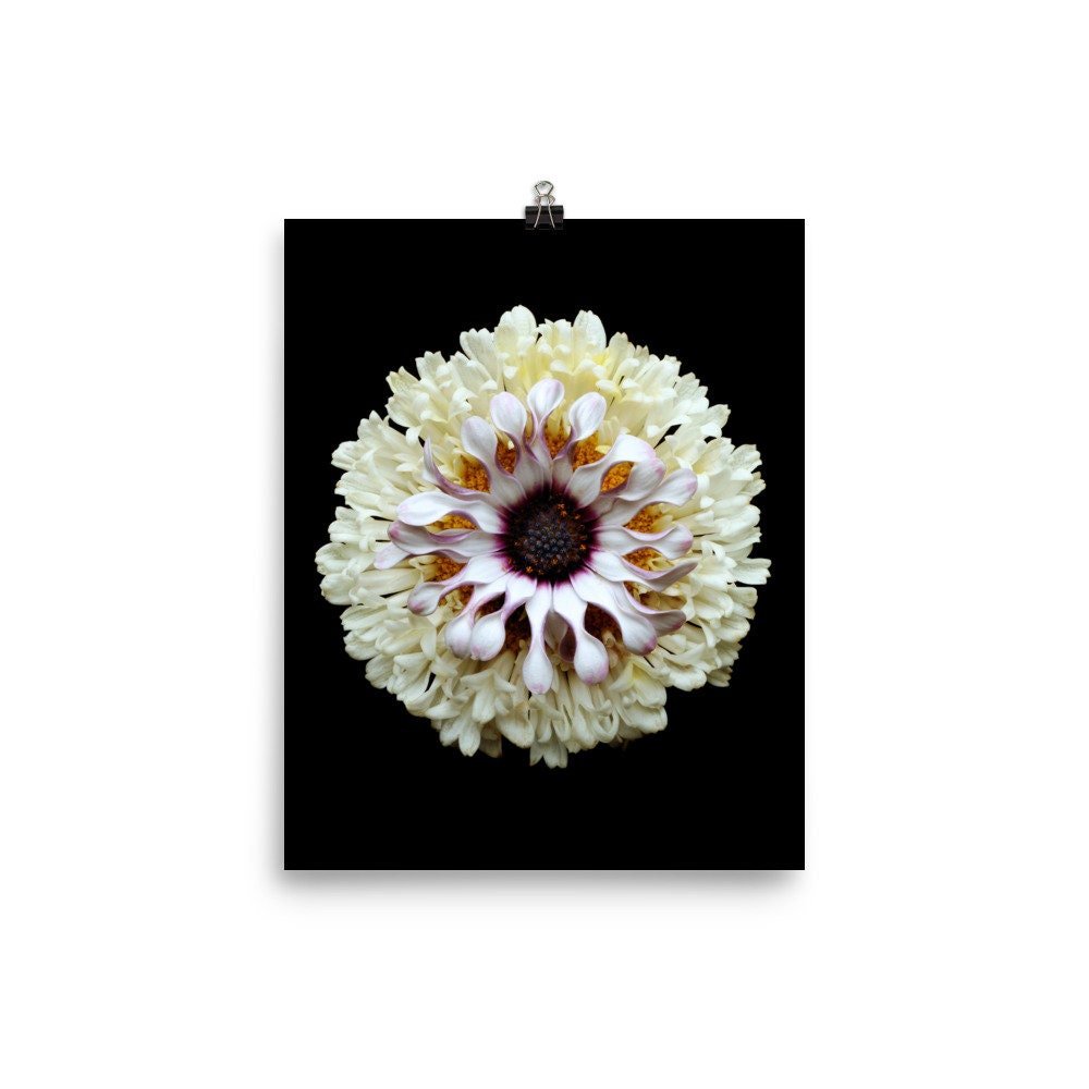 https://i.etsystatic.com/16519884/r/il/1ab81c/2262694049/il_fullxfull.2262694049_giqa.jpg