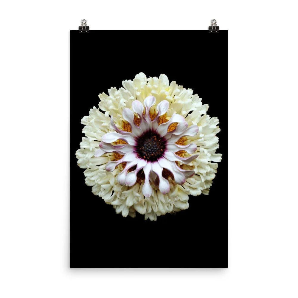 https://i.etsystatic.com/16519884/r/il/498ec0/2215094502/il_fullxfull.2215094502_2u21.jpg