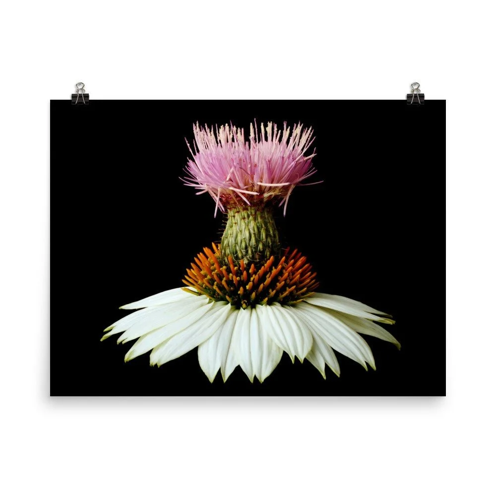 https://i.etsystatic.com/16519884/r/il/13ff2b/2216620648/il_fullxfull.2216620648_2c04.jpg