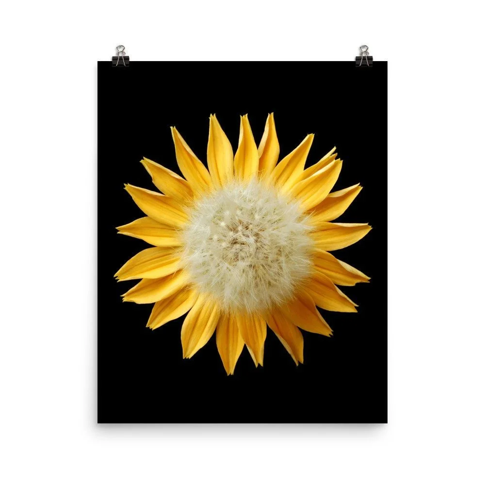 https://i.etsystatic.com/16519884/r/il/9b4446/2216627854/il_fullxfull.2216627854_dama.jpg