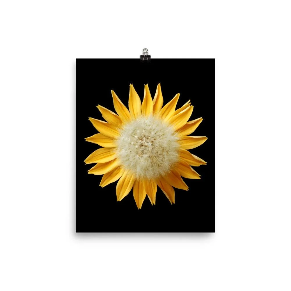 https://i.etsystatic.com/16519884/r/il/34d733/2264224351/il_fullxfull.2264224351_shvm.jpg