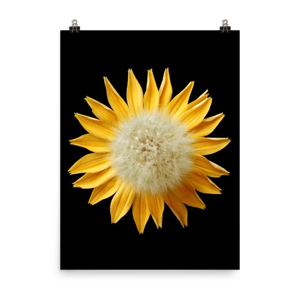 https://i.etsystatic.com/16519884/r/il/c968a9/2264224305/il_fullxfull.2264224305_18g2.jpg