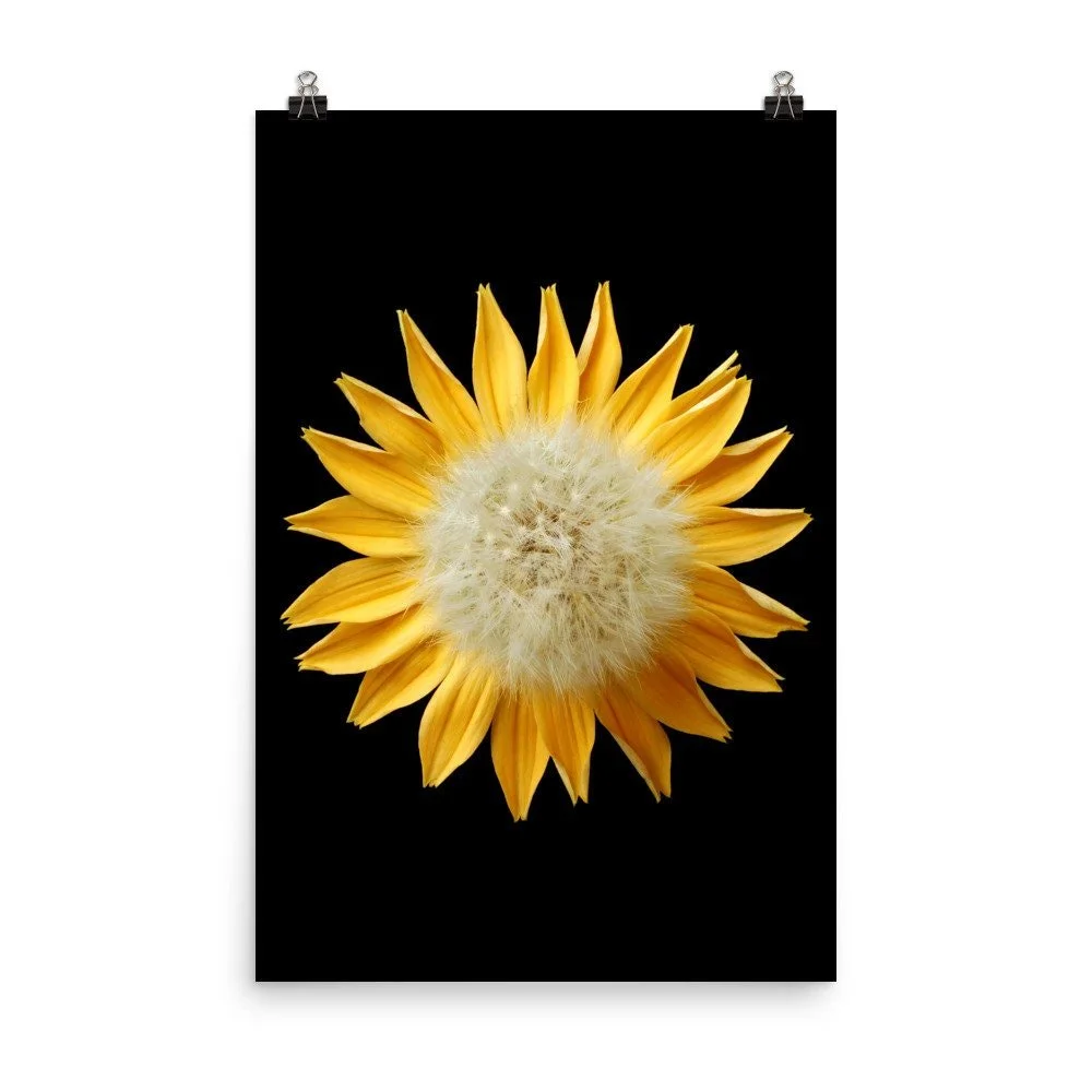 https://i.etsystatic.com/16519884/r/il/a96ade/2216627416/il_fullxfull.2216627416_1chm.jpg
