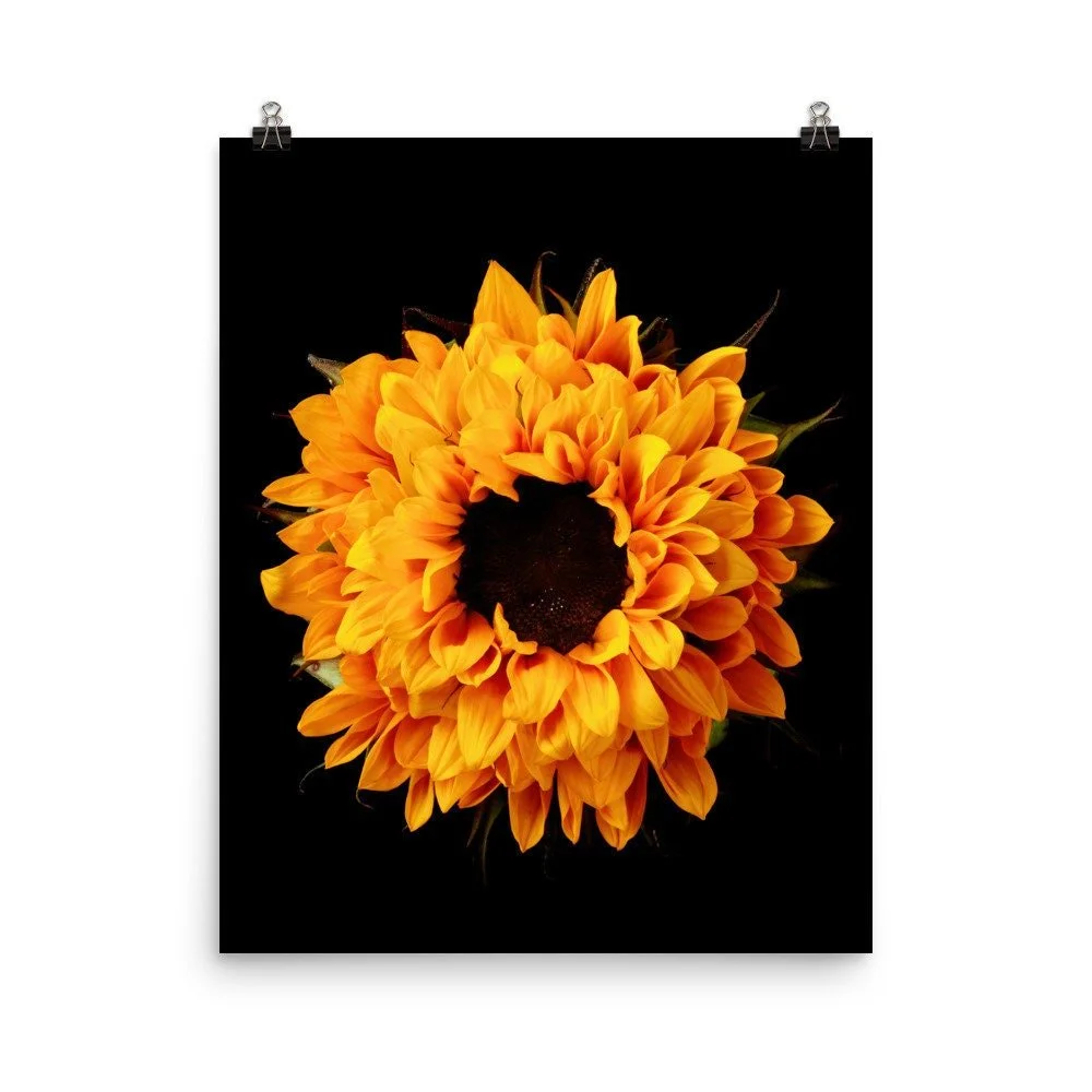 https://i.etsystatic.com/16519884/r/il/35a6df/2216680892/il_fullxfull.2216680892_grm2.jpg