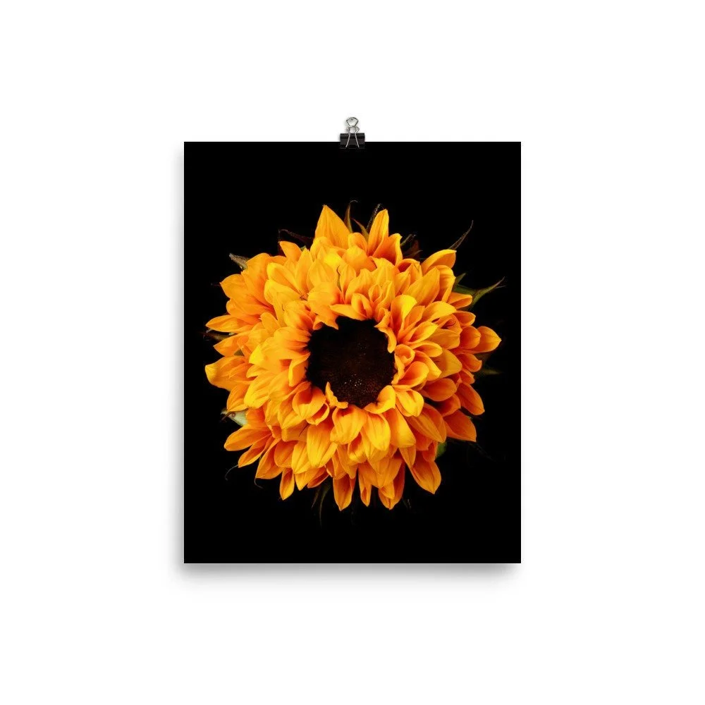 https://i.etsystatic.com/16519884/r/il/2e15a8/2216675822/il_fullxfull.2216675822_r3z8.jpg
