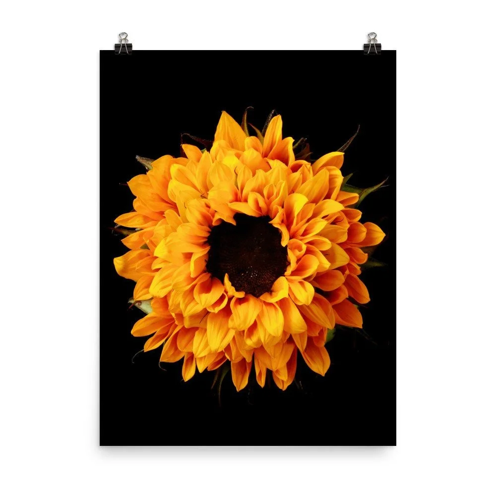 https://i.etsystatic.com/16519884/r/il/a29238/2264272317/il_fullxfull.2264272317_qgjh.jpg