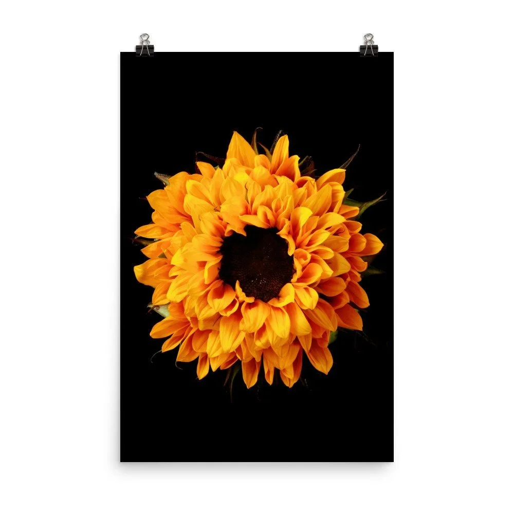 https://i.etsystatic.com/16519884/r/il/32d01e/2264272289/il_fullxfull.2264272289_7wcp.jpg