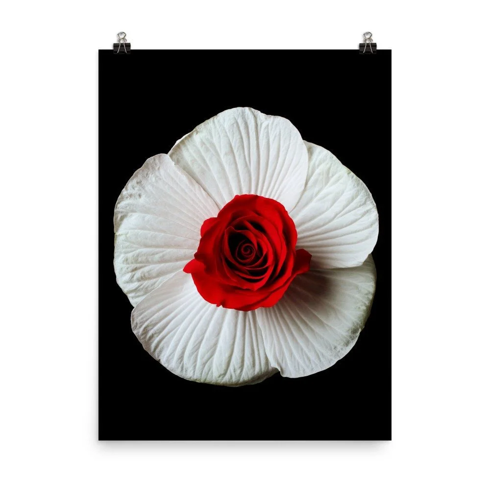 https://i.etsystatic.com/16519884/r/il/602331/2217796010/il_fullxfull.2217796010_1m3x.jpg