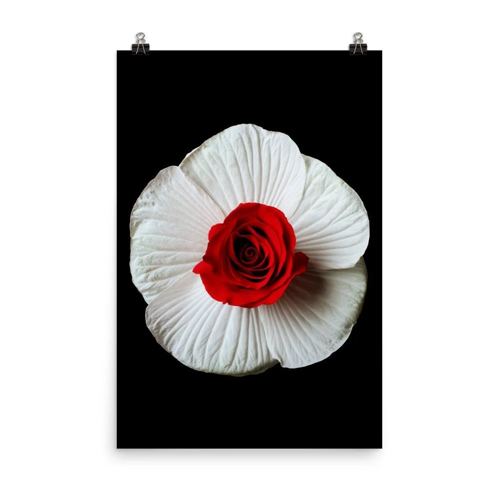 https://i.etsystatic.com/16519884/r/il/6ee859/2265392831/il_fullxfull.2265392831_7zbd.jpg
