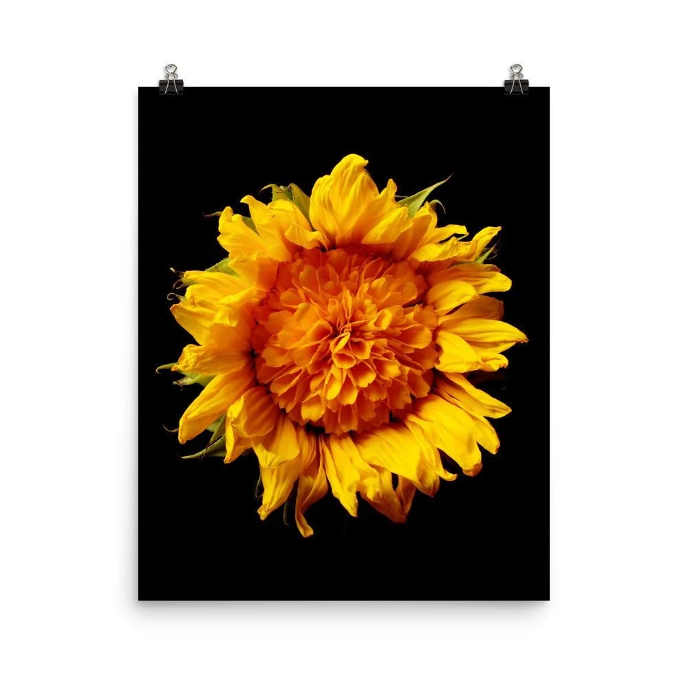https://i.etsystatic.com/16519884/r/il/b49a41/2216223312/il_fullxfull.2216223312_59yu.jpg