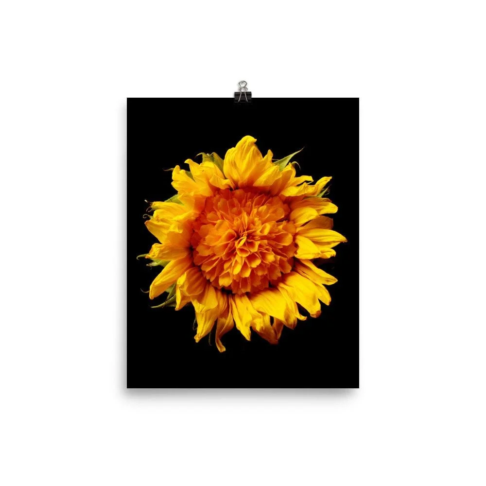https://i.etsystatic.com/16519884/r/il/170ae0/2216222156/il_fullxfull.2216222156_a1ep.jpg