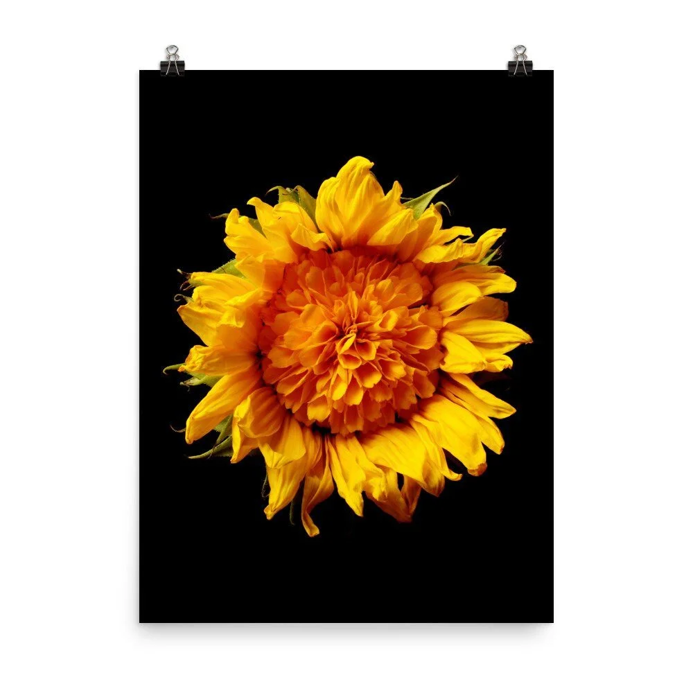 https://i.etsystatic.com/16519884/r/il/d56a7c/2263819589/il_fullxfull.2263819589_3pte.jpg