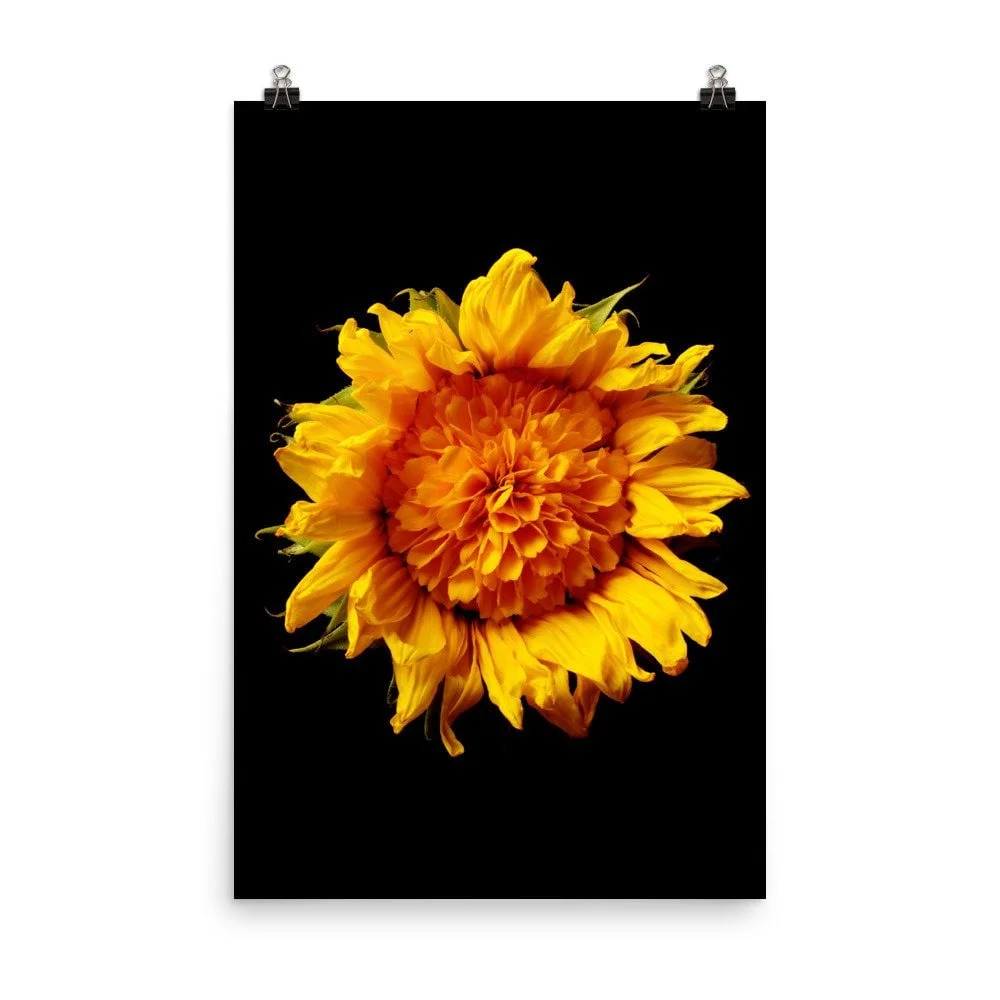 https://i.etsystatic.com/16519884/r/il/cb36a6/2216222044/il_fullxfull.2216222044_l6il.jpg