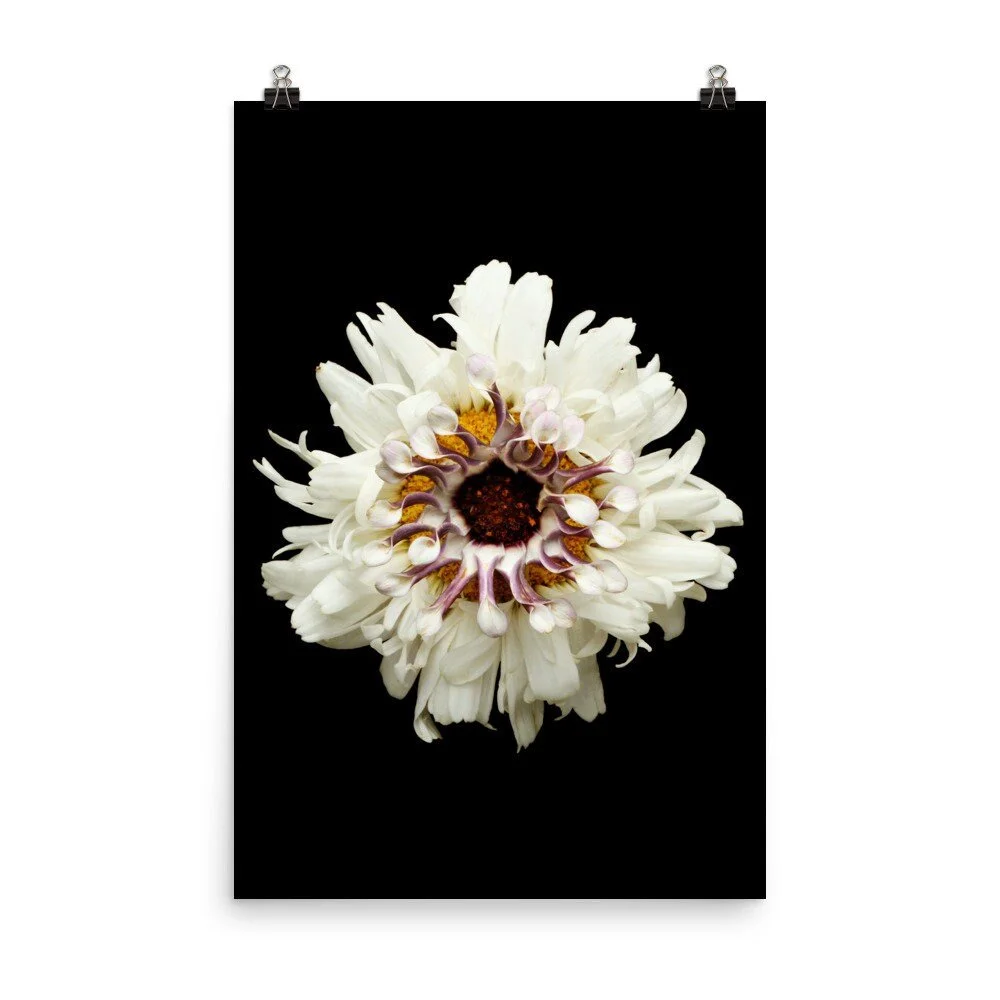 https://i.etsystatic.com/16519884/r/il/a6fa2d/2216901306/il_fullxfull.2216901306_h5am.jpg