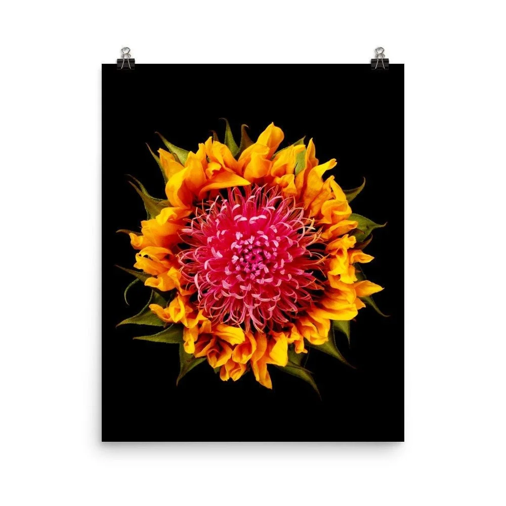 https://i.etsystatic.com/16519884/r/il/698410/2265892985/il_fullxfull.2265892985_ewz4.jpg