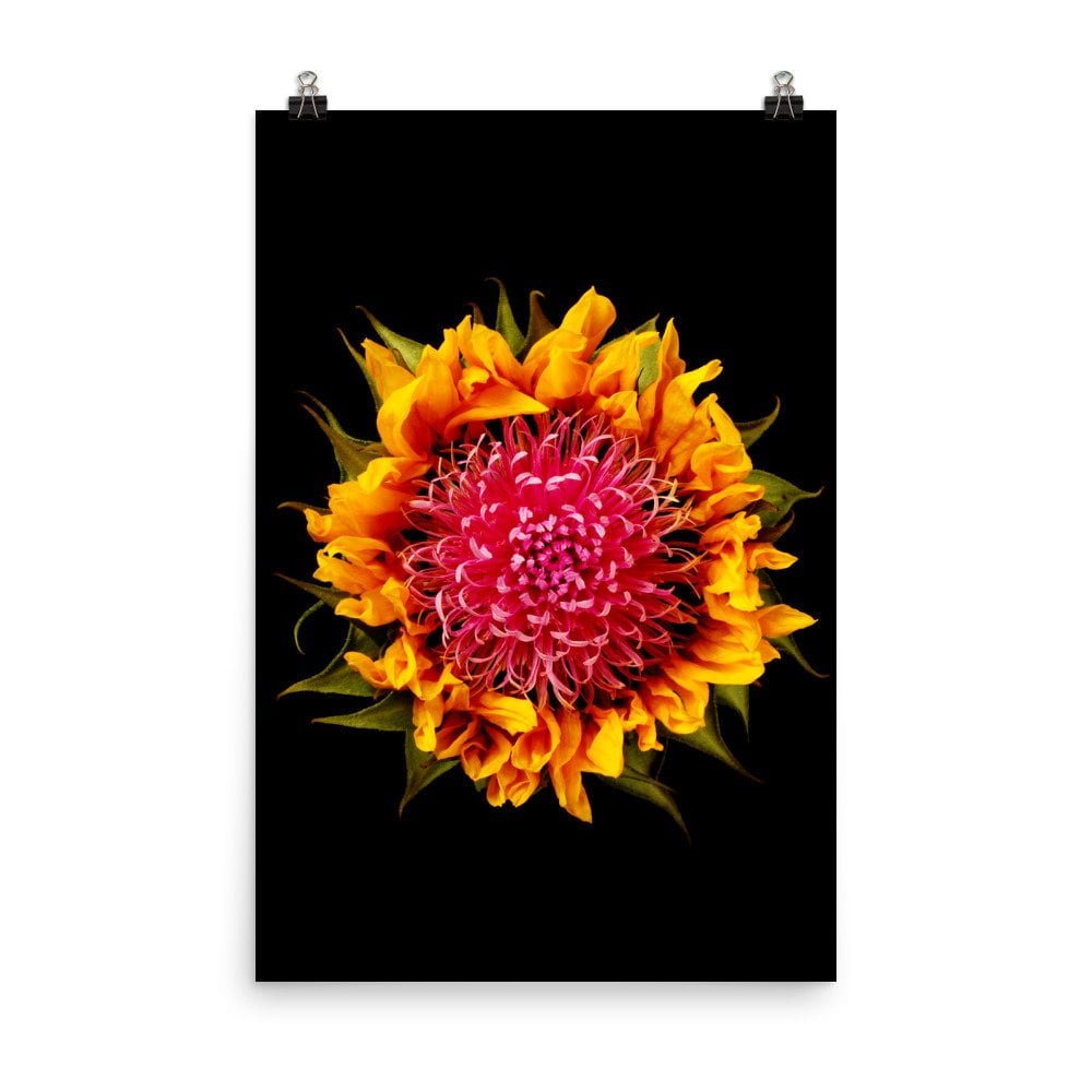 https://i.etsystatic.com/16519884/r/il/633b5d/2218290370/il_fullxfull.2218290370_ctkv.jpg