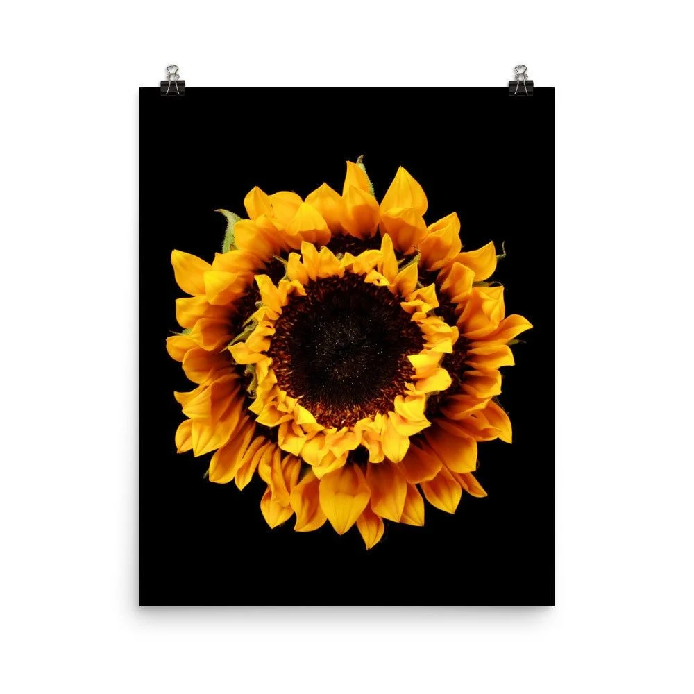 https://i.etsystatic.com/16519884/r/il/59dd05/2284913861/il_fullxfull.2284913861_3mcb.jpg