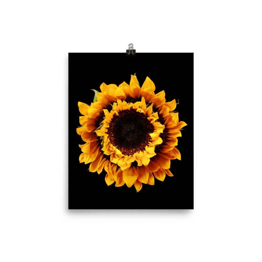 https://i.etsystatic.com/16519884/r/il/9d7cb0/2237314402/il_fullxfull.2237314402_1osk.jpg