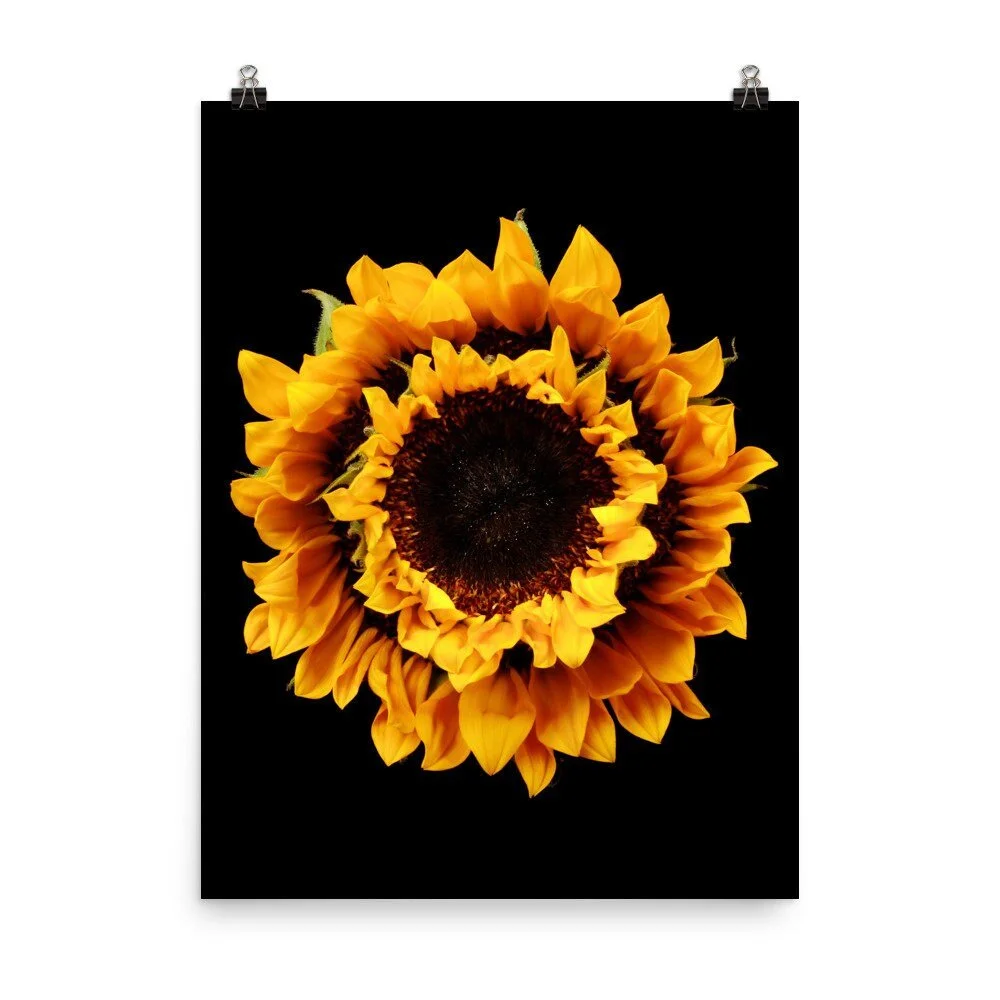 https://i.etsystatic.com/16519884/r/il/5320f0/2284912247/il_fullxfull.2284912247_jawv.jpg