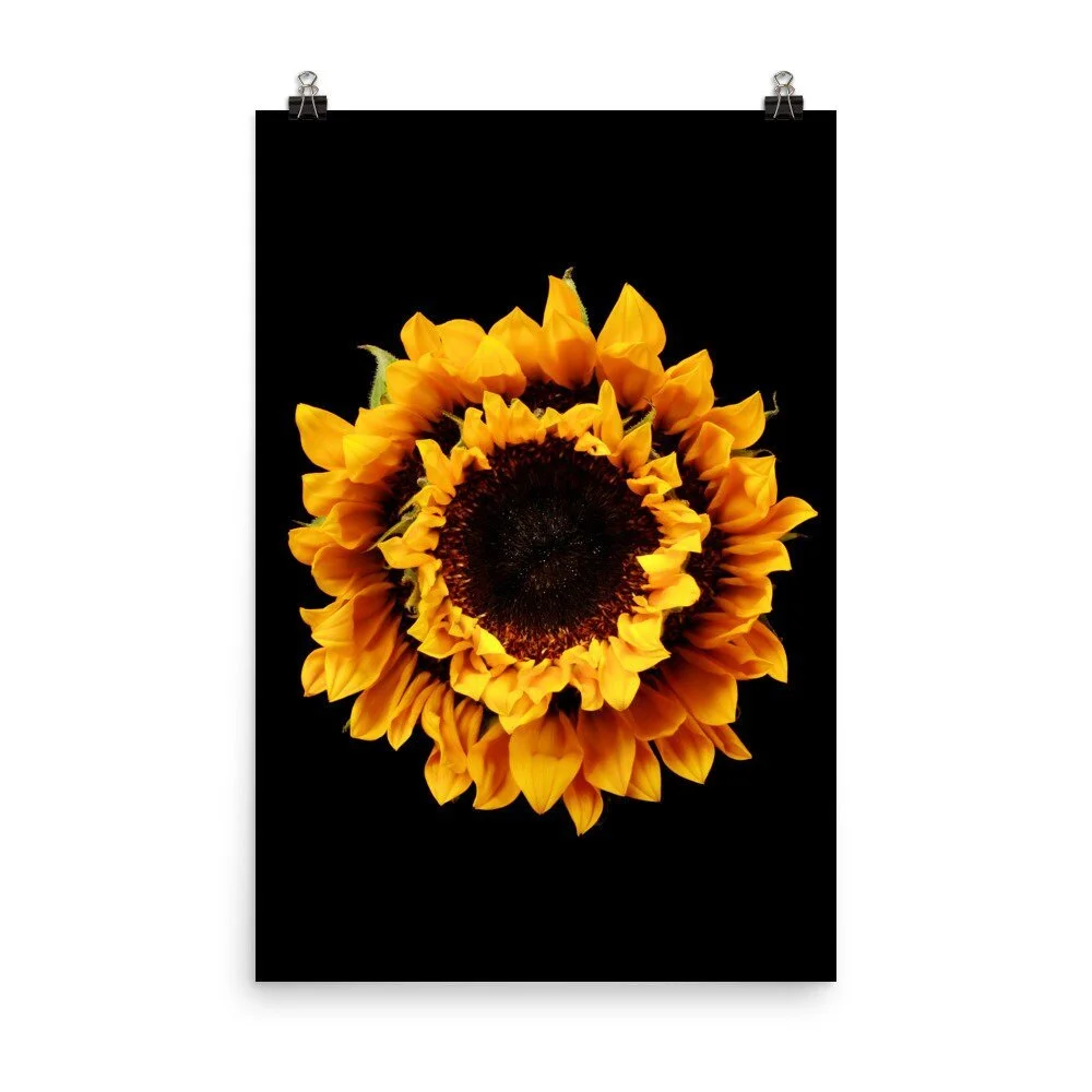 https://i.etsystatic.com/16519884/r/il/00f3a0/2284912199/il_fullxfull.2284912199_qb6k.jpg