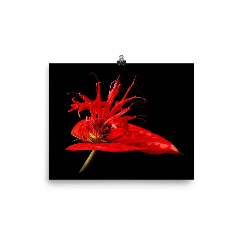 https://i.etsystatic.com/16519884/r/il/b99e0b/2285762275/il_fullxfull.2285762275_q7bn.jpg