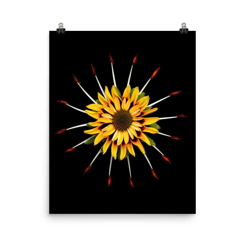 https://i.etsystatic.com/16519884/r/il/ced07e/2238509466/il_fullxfull.2238509466_nooa.jpg