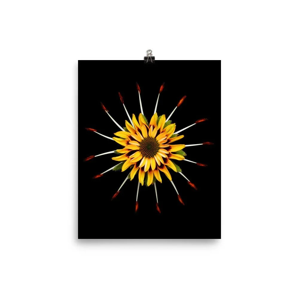 https://i.etsystatic.com/16519884/r/il/4bb940/2286105355/il_fullxfull.2286105355_6y0b.jpg