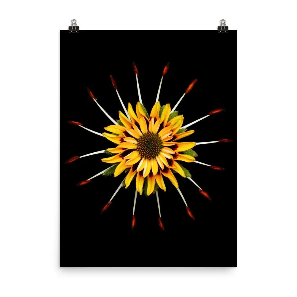 https://i.etsystatic.com/16519884/r/il/baa1de/2286105317/il_fullxfull.2286105317_3hvn.jpg
