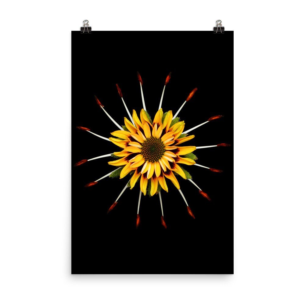 https://i.etsystatic.com/16519884/r/il/58e04d/2238508438/il_fullxfull.2238508438_5jtb.jpg