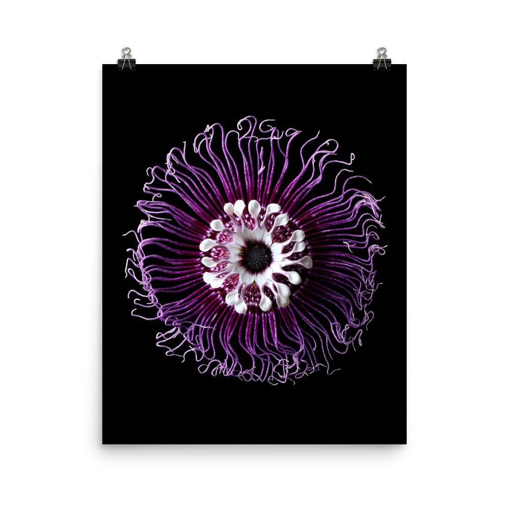 https://i.etsystatic.com/16519884/r/il/1fb095/2286114799/il_fullxfull.2286114799_n3gu.jpg