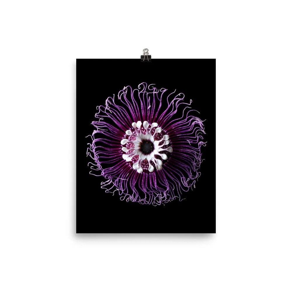 https://i.etsystatic.com/16519884/r/il/7b4e43/2286113929/il_fullxfull.2286113929_axu0.jpg