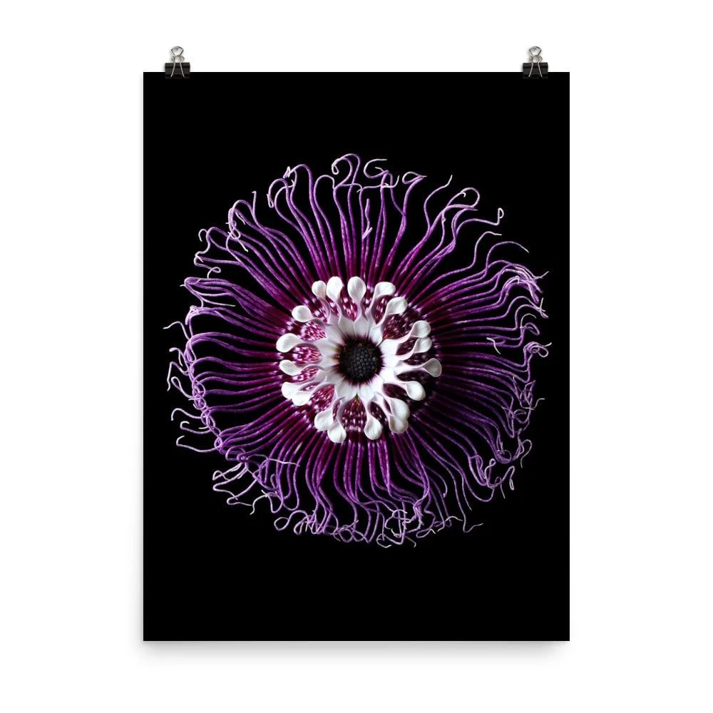 https://i.etsystatic.com/16519884/r/il/4e706a/2286113895/il_fullxfull.2286113895_lxbb.jpg