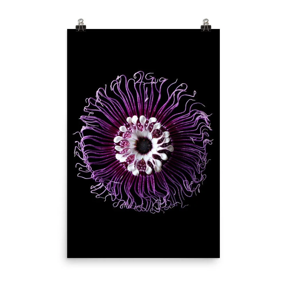 https://i.etsystatic.com/16519884/r/il/a895b1/2238517222/il_fullxfull.2238517222_2i8w.jpg