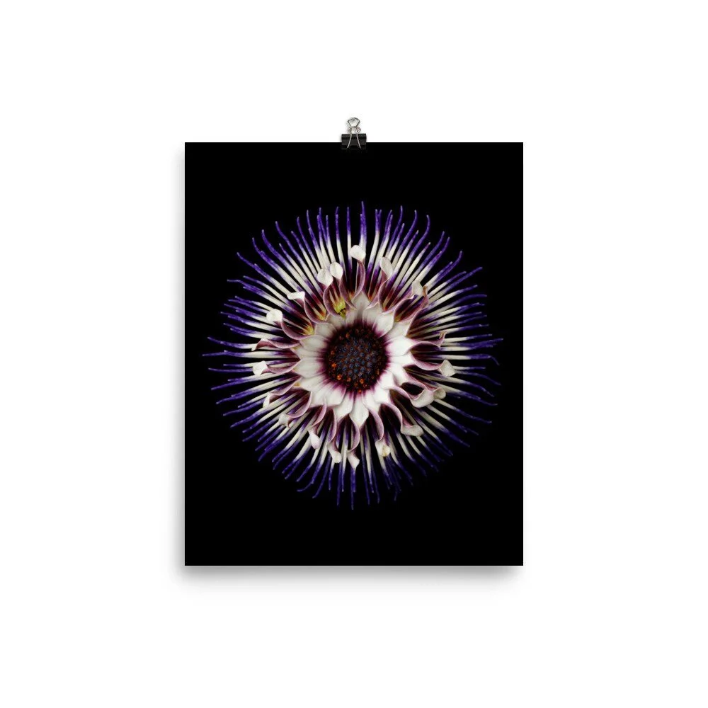 https://i.etsystatic.com/16519884/r/il/93640b/2286399889/il_fullxfull.2286399889_tw89.jpg