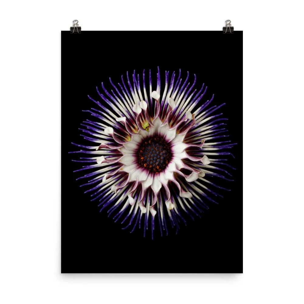 https://i.etsystatic.com/16519884/r/il/034a55/2238803994/il_fullxfull.2238803994_9c23.jpg