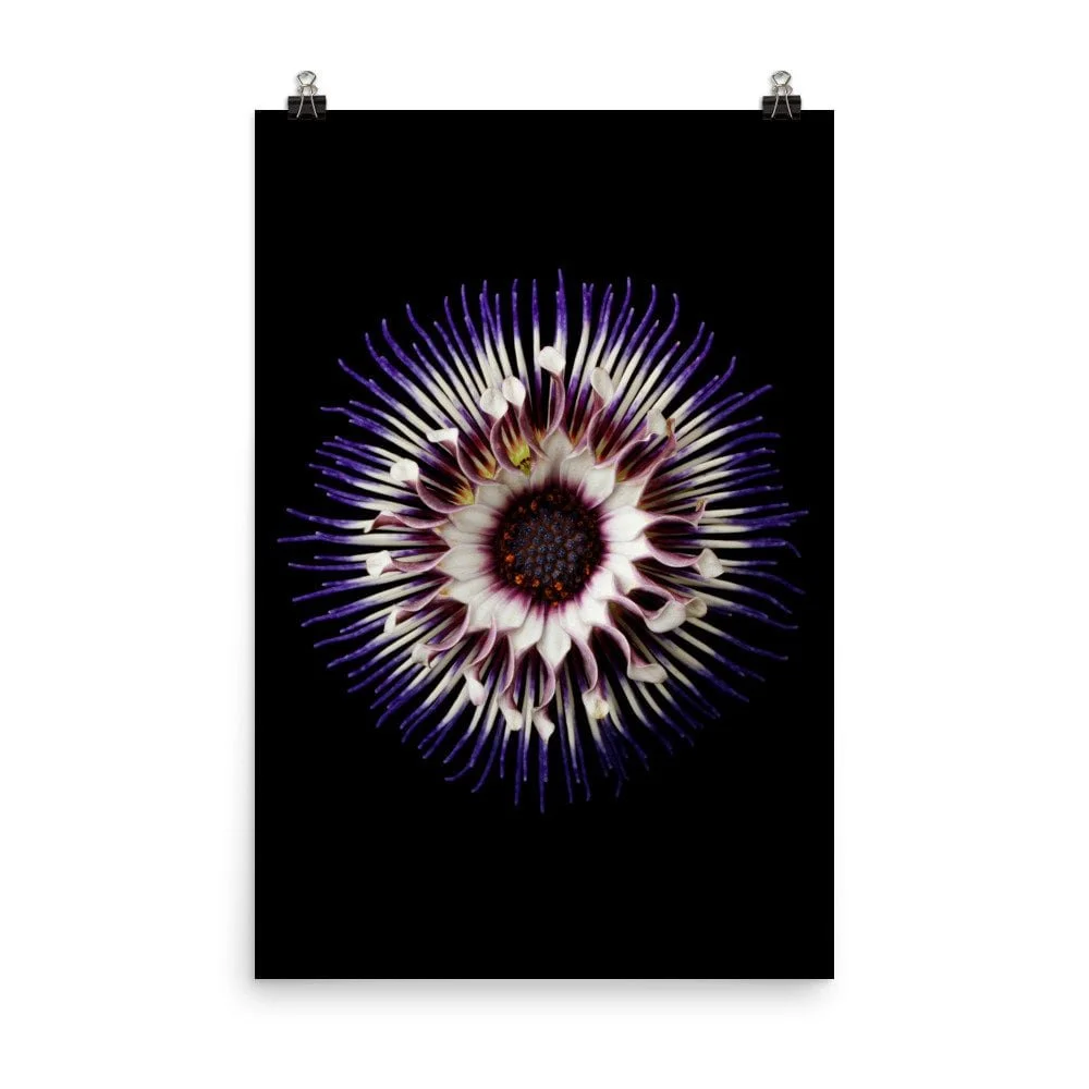 https://i.etsystatic.com/16519884/r/il/9b7a3d/2286399831/il_fullxfull.2286399831_d20d.jpg