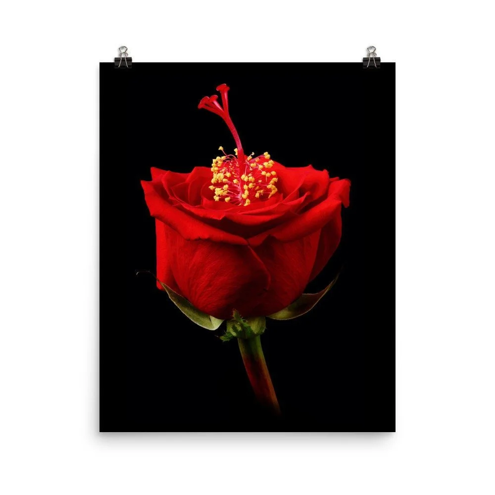 https://i.etsystatic.com/16519884/r/il/e170bb/2254573119/il_fullxfull.2254573119_ap2q.jpg