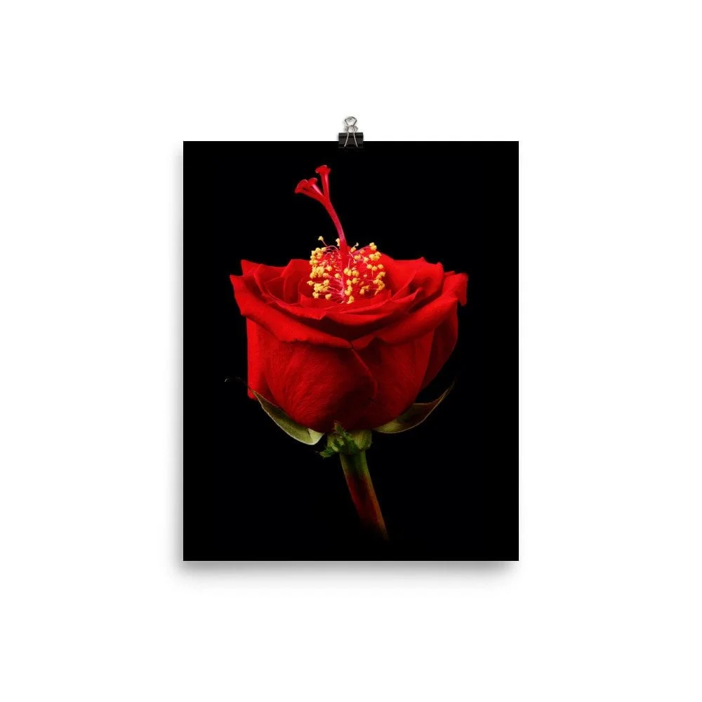 https://i.etsystatic.com/16519884/r/il/6ea5da/2206971528/il_fullxfull.2206971528_62mz.jpg