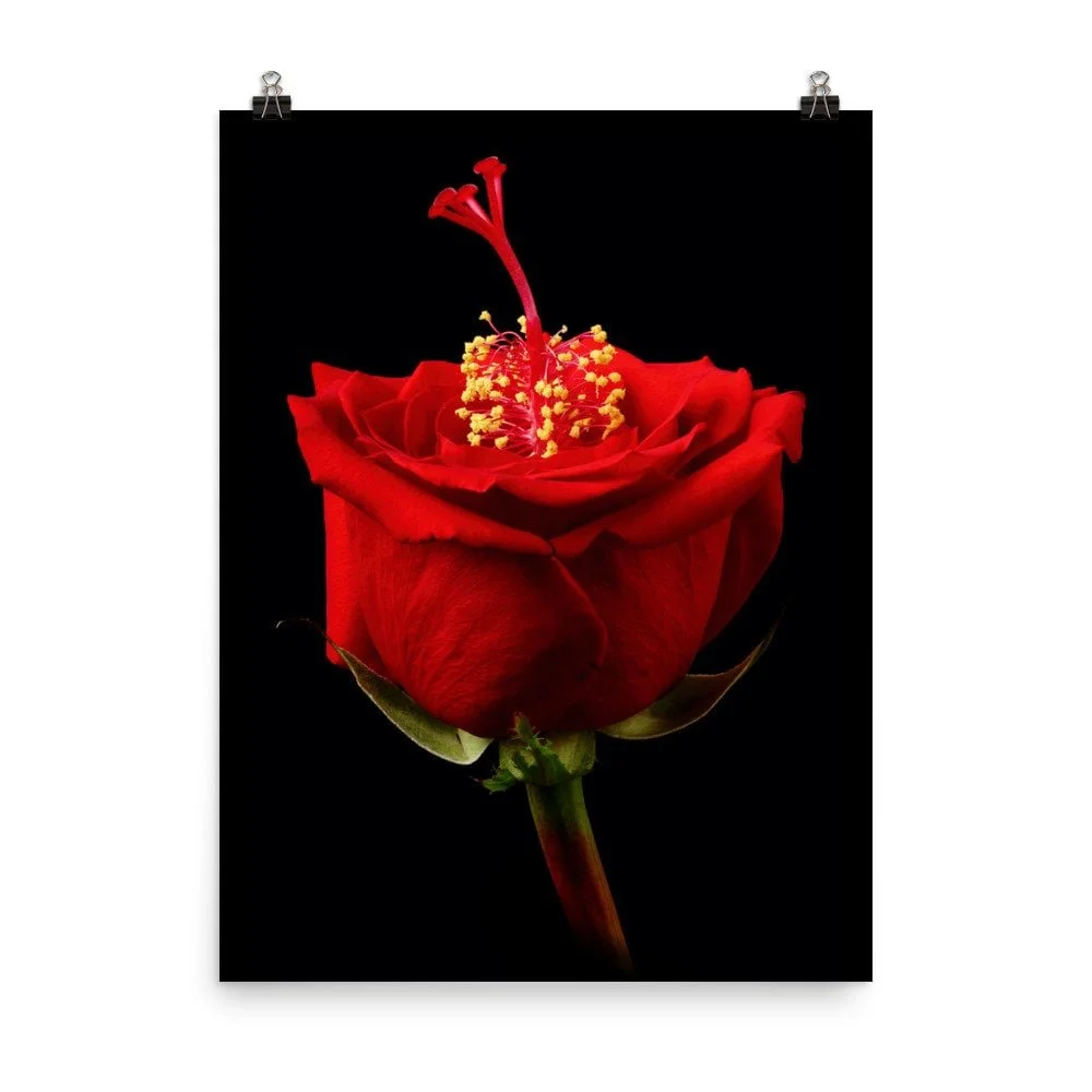 https://i.etsystatic.com/16519884/r/il/90c220/2206971506/il_fullxfull.2206971506_syr7.jpg