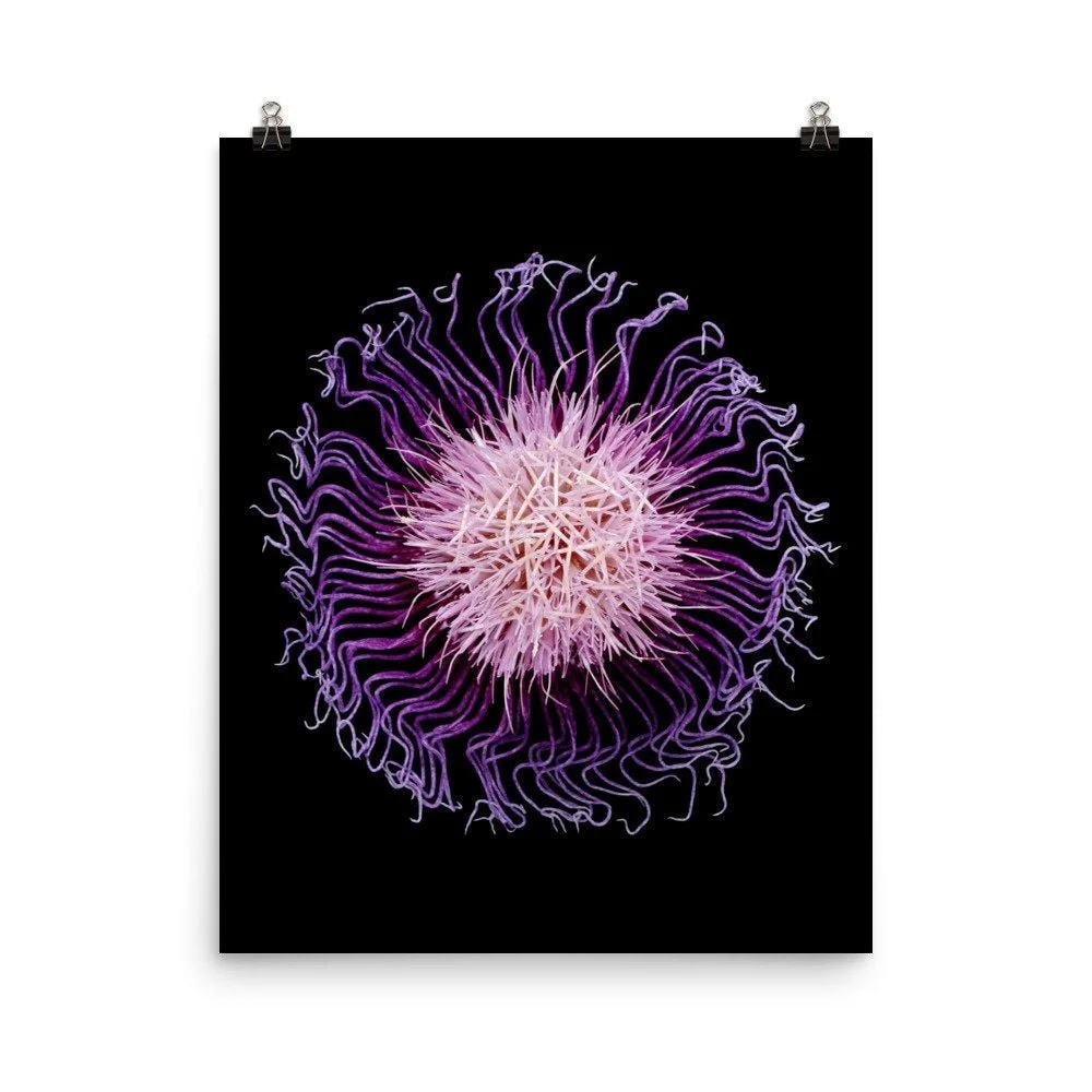 https://i.etsystatic.com/16519884/r/il/5b3479/2254467303/il_fullxfull.2254467303_3dzg.jpg