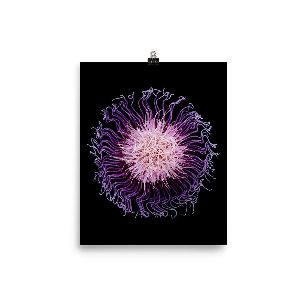 https://i.etsystatic.com/16519884/r/il/cc49b1/2254466599/il_fullxfull.2254466599_igg3.jpg