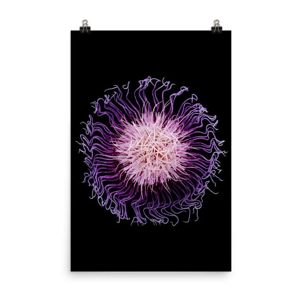 https://i.etsystatic.com/16519884/r/il/523854/2206865886/il_fullxfull.2206865886_rzik.jpg