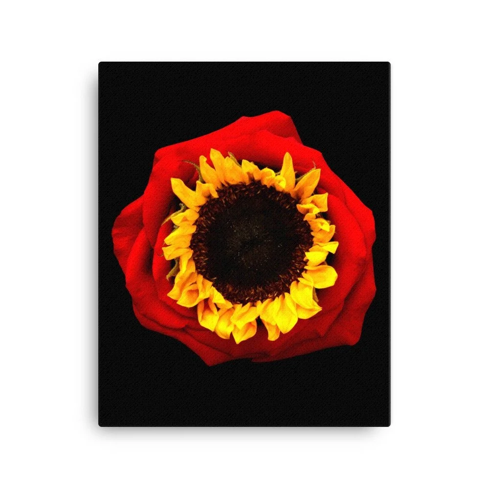 https://i.etsystatic.com/16519884/r/il/f77da2/2184578937/il_fullxfull.2184578937_s12s.jpg