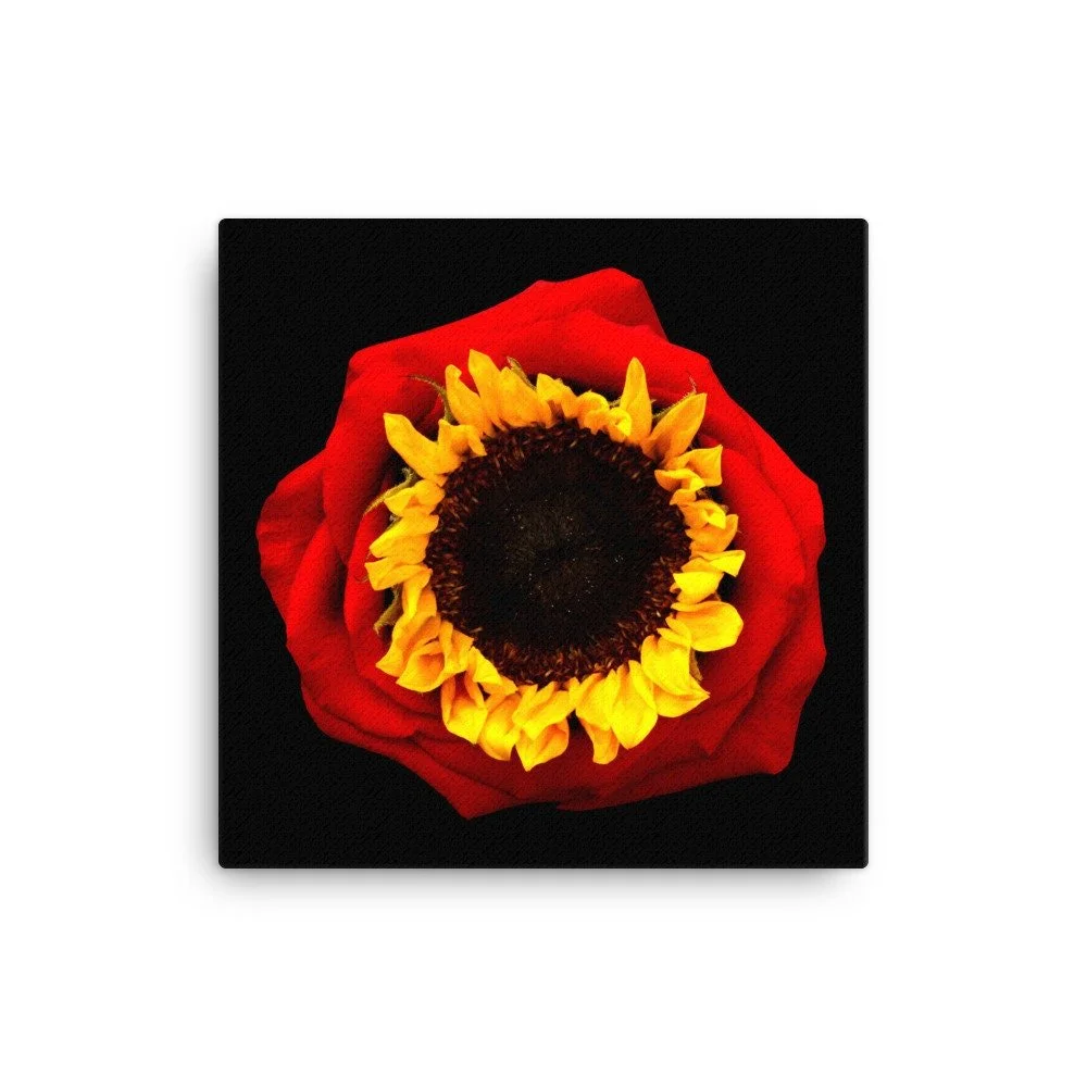 https://i.etsystatic.com/16519884/r/il/2c86c2/2137026180/il_fullxfull.2137026180_2k9z.jpg