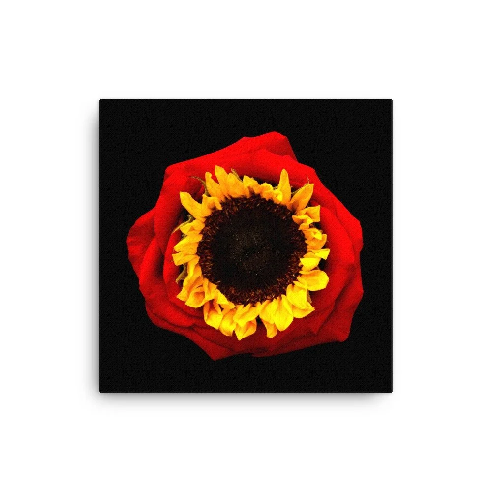 https://i.etsystatic.com/16519884/r/il/679c20/2184578841/il_fullxfull.2184578841_a55t.jpg