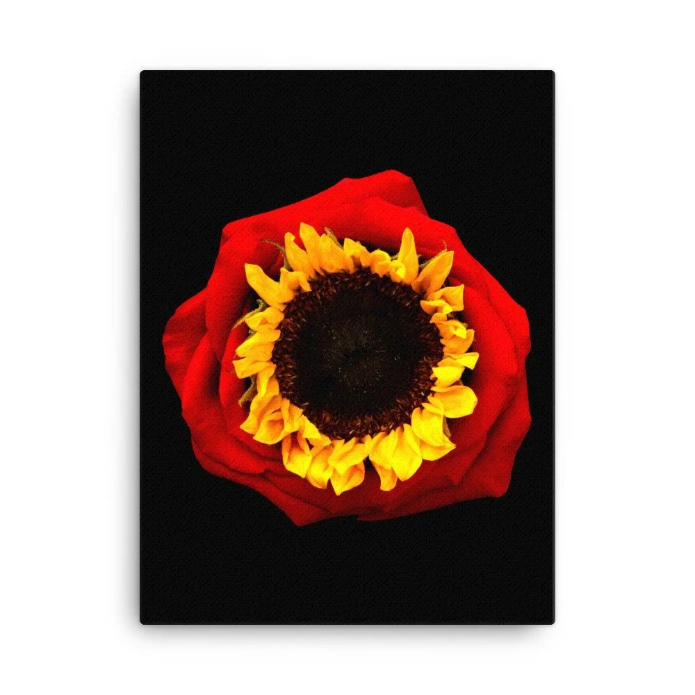 https://i.etsystatic.com/16519884/r/il/65dd50/2137026076/il_fullxfull.2137026076_bg6y.jpg